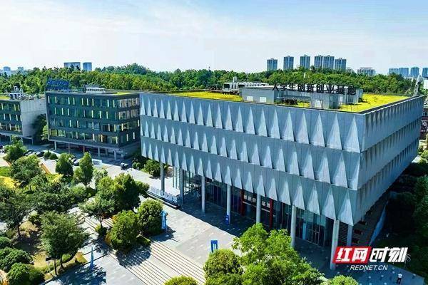 融金汇银 长沙“创业苗圃”赋能 青年“金种子”破土成林