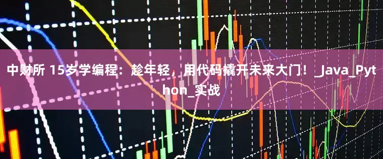 中财所 15岁学编程：趁年轻，用代码撬开未来大门！_Java_Python_实战