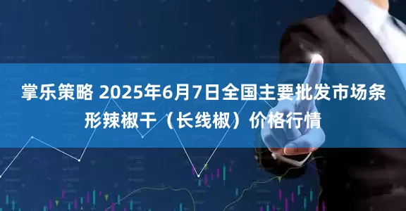 掌乐策略 2025年6月7日全国主要批发市场条形辣椒干（长线椒）价格行情