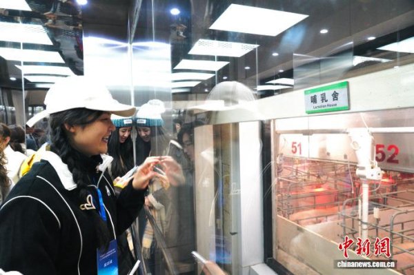 明利配资端 （乡村行·看振兴）河南南阳：特色产业撑起县域经济“脊梁”